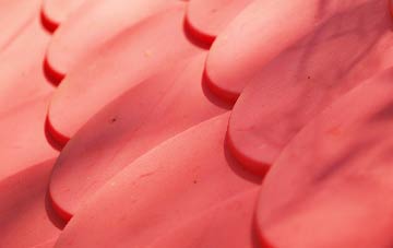 Bieldside plastic roof costs